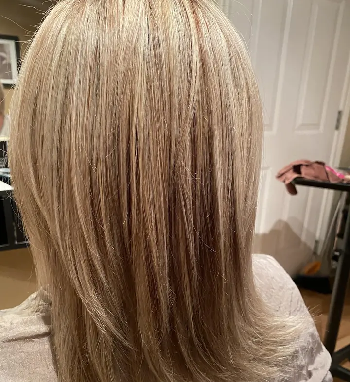 Shoulder-length layered hair with blonde highlights, seen from behind.